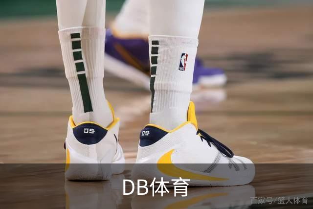 DB体育公司简介图片